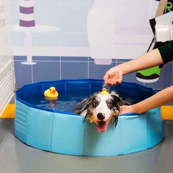 Jetjow-Foldable Dog Swimming Pool