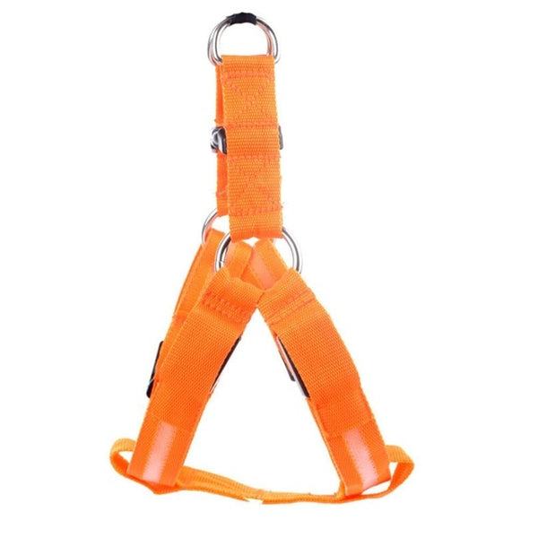 Pet Safety LED Harness