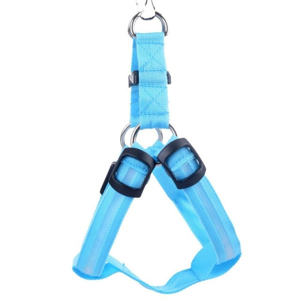 Pet Safety LED Harness