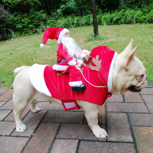 Big Dog Clothes Cat Pet Supplies Horse Riding Mutable Halloween Funny Costume Santa Claus Clothes Small Medium Large