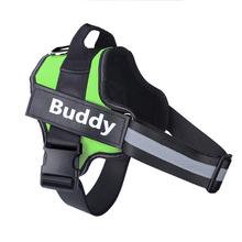 Strap N Walk-Personalized Safety Dog Harness