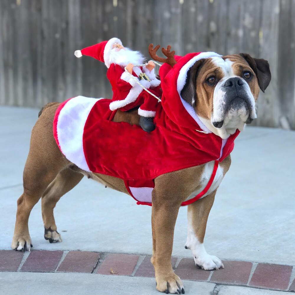 Big Dog Clothes Cat Pet Supplies Horse Riding Mutable Halloween Funny Costume Santa Claus Clothes Small Medium Large